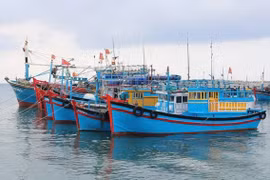 Provincia de Thanh Hoa por impulsar lucha contra IUU