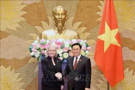 Vietnam dispuesto a promover cooperación más sustantiva y estable con Estados Unidos