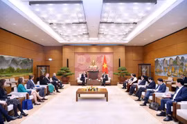 Vietnam aprecia la amistad tradicional con la República Checa