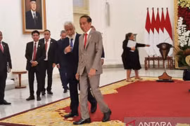 Indonesia y Timor Oriental buscan soluciones para problemas fronterizos