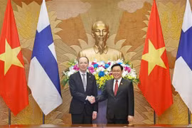 Vietnam concede importancia a amistad y cooperación con Finlandia