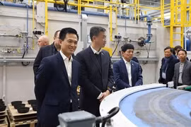 Destacan papel de comunidad vietnamita en fortalecer amistad con República Checa