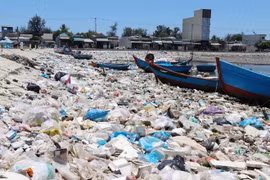 Canadá se compromete a apoyar a Vietnam en adaptación al cambio climático