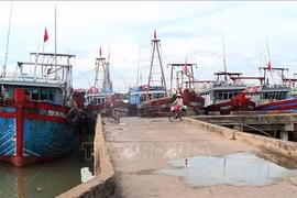 Thanh Hoa toma medidas drásticas contra barcos pesqueros ilegales