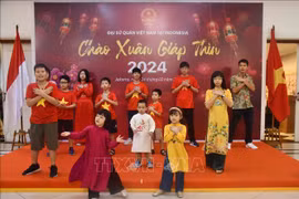 Celebran en Indonesia encuentro entre vietnamitas por Año del Dragón
