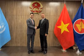Vietnam y Cuba cooperan estrechamente en importantes procesos de ONU