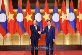 Presidente parlamentario recibe al primer ministro de Laos