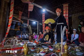 Vietnam presentará a UNESCO expedientes de patrimonios culturales intangibles