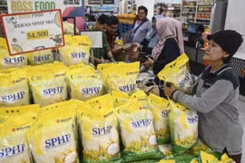 Indonesia importará 1,6 millones de toneladas adicionales de arroz