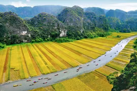 Google Arts & Culture destaca el complejo paisajístico Trang An de Vietnam