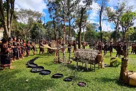 Amplio abanico de propuestas en Festival Cultural de Minorías Étnicas de Vietnam