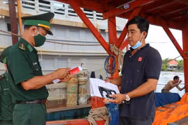 Provincia vietnamita refuerza trazabilidad de origen de productos del mar