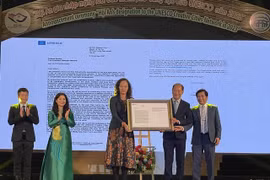 Hoi An: miembro de Red de Ciudades Creativas de la UNESCO