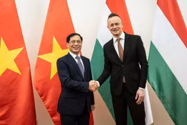 Promueven cooperación diplomática entre Vietnam, Hungría y Rumania