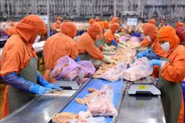 Vietnam tiene oportunidad de aumentar exportaciones de productos cárnicos a China