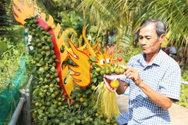 Arbóles de kumquat con forma de dragón más buscados en el mercado
