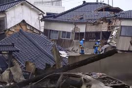 No se registran víctimas vietnamitas en Japón debido a sismo 