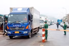 Puertas fronterizas en Norte de Vietnam reanudan despacho aduanero
