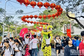  Celebran en provincia vietnamita Festival de Primavera 2024