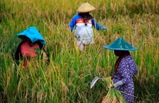 Indonesia: la estación seca será menos severa este año