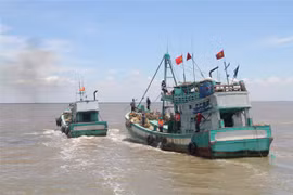 Vietnam une manos con el mundo para combatir IUU