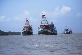 Vietnam trabaja por combatir fuertemente contra la pesca ilegal