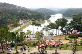 Registran un crecimiento en llegadas de turistas a Da Lat durante las vacaciones del Tet