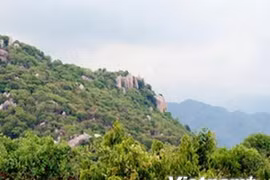 Promueven ecoturismo en provincia central de Ninh Thuan