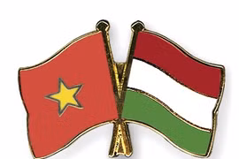 Robustecen cooperación entre Hanoi y Hungría 