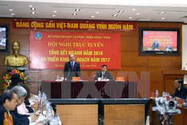 Premier: Agricultura constituye pilar de economía de Vietnam 