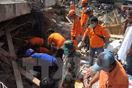 Más de ocho mil heridos y muertos por terremoto en Indonesia 