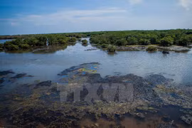 Ramsar, hogar de especies marinas raras 