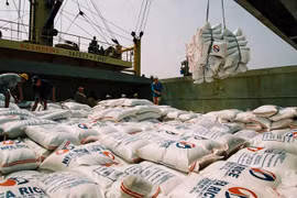 Vietnam recortará impuestos a arroz y hojas de tabaco importados de Camboya