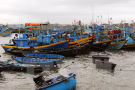 Vietnam impulsa investigaciones y gestión de explotación del mar e islas