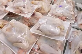 Vietnam exportará pechugas de pollo por primera vez al extranjero