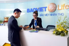 Grupo vietnamita de seguros Bao Viet obtuvo ingreso récord