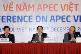 Año APEC 2017, foco de actividades externas de Vietnam 