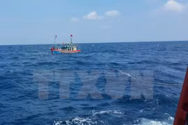 Mejoran conciencia de pescadores sobre cumplimiento de la ley