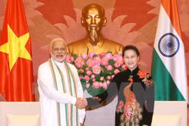 Impulsan Vietnam e India cooperación en tecnología informática