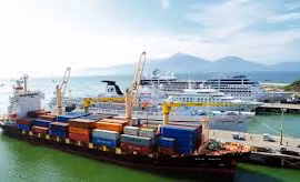 Puerto de Da Nang se convertirá en centro logístico de región central
