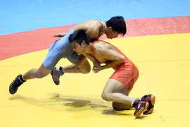 Vietnam se impone en campeonato regional de lucha libre
