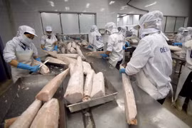 Sector manufacturero de Vietnam reporta mayor crecimiento en últimos 18 meses