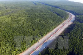 Ciudad Ho Chi Minh invierte millones de dólares para protección forestal