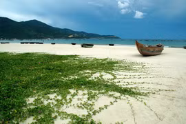 Ciudad central de Da Nang construirá nuevo dique 