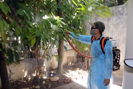 Provincia survietnamita de Dong Nai detecta primer caso del Zika
