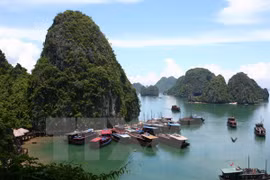 Vietnam forma tres unidades especiales en zonas costeras