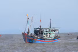 Forman cooperativa juvenil en Ha Tinh para ayudar a pesca en alta mar