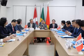 Vietnam y Brasil fortalecen nexos de cooperación bilateral