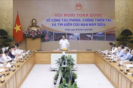 El viceprimer ministro de Vietnam Tran Luu Quang preside la reunión. (Fuente: VNA)