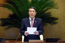 El vicepresidente de la Asamblea Nacional Nguyen Duc Hai. (Fuente: VNA)